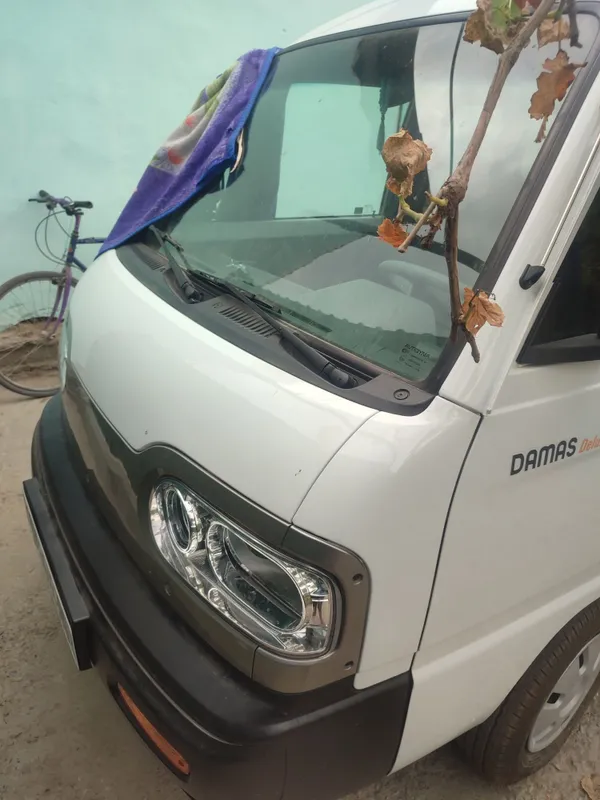 Damas yangi 2026 1