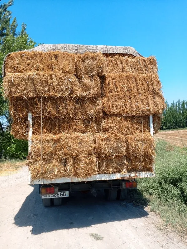Isuzu samasval otayol samasval 4 Isuzu samasval otayol samasval 4