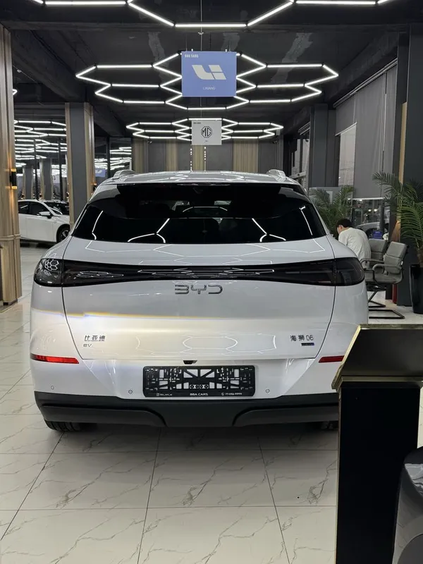 Byd Sea Lione 06 3