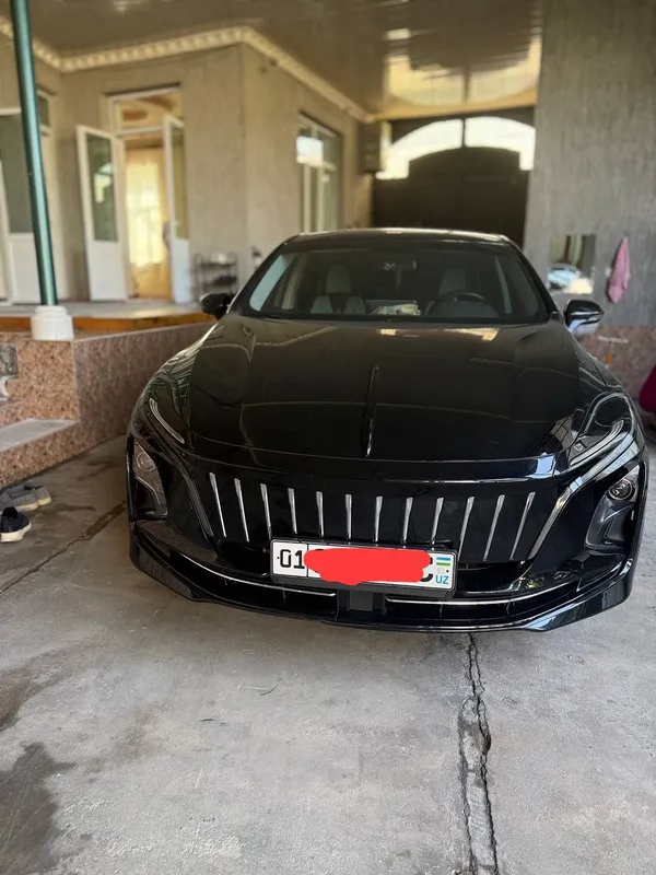 hongqi e-qm5 хонджи