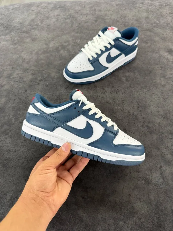 Nike SB dunk new Nike SB dunk new