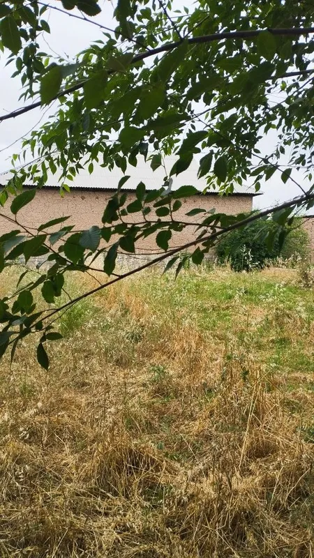 Uchastka sotiladi 8