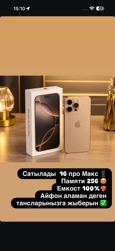 16 pro max
