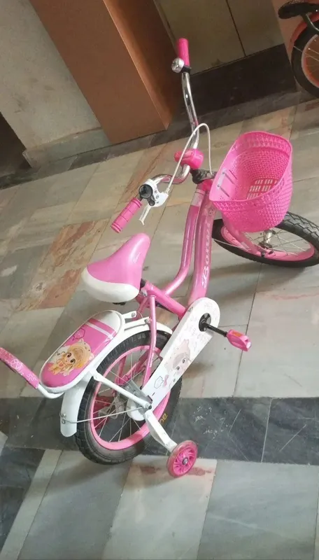 velosiped bor yo‘g‘i bir marta haydalgan — фото 3