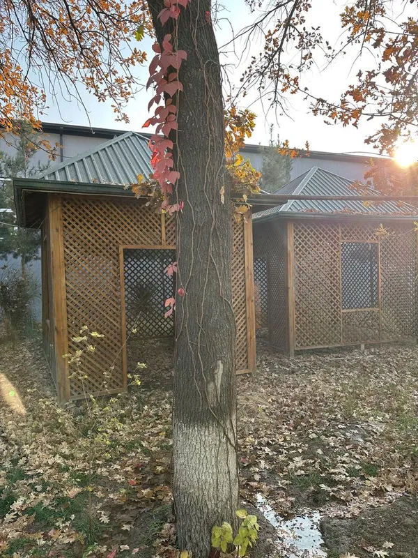 Беседка (Shipon) б/у — фото 2