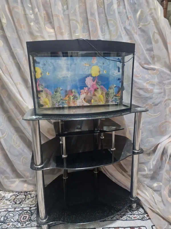 Shisha taglikli akvarium 1 Shisha taglikli akvarium 1