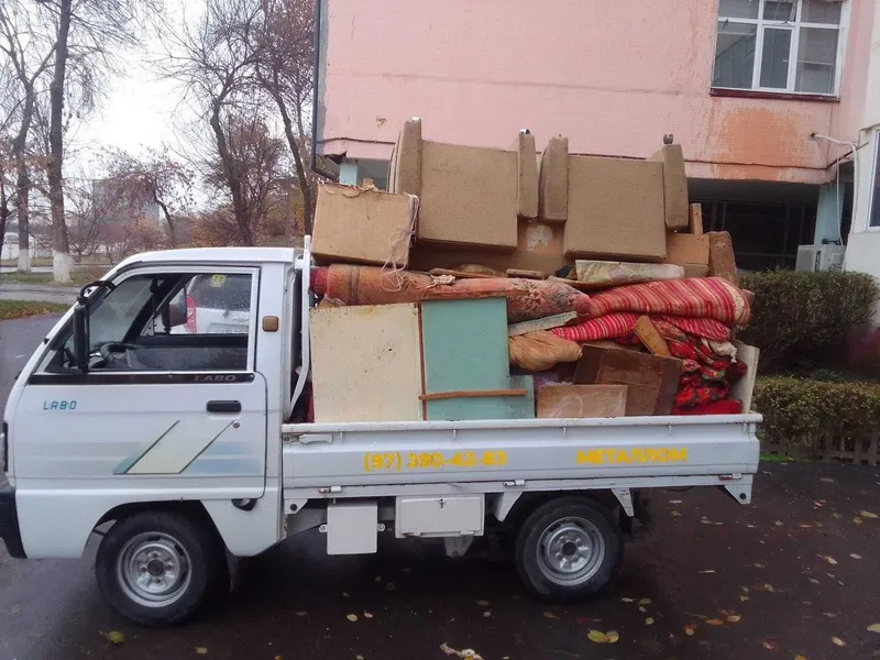 labo xizmatlari musur, metallom