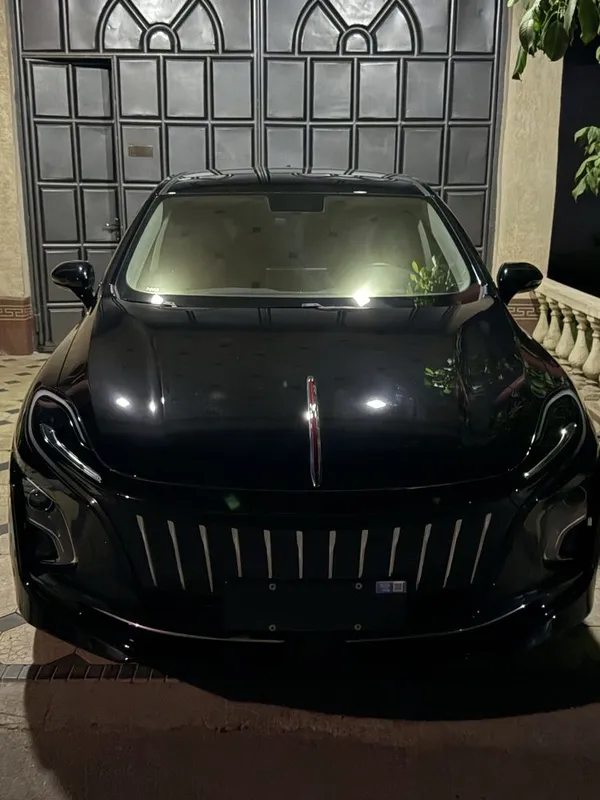 Hongqi E-qm5 2024