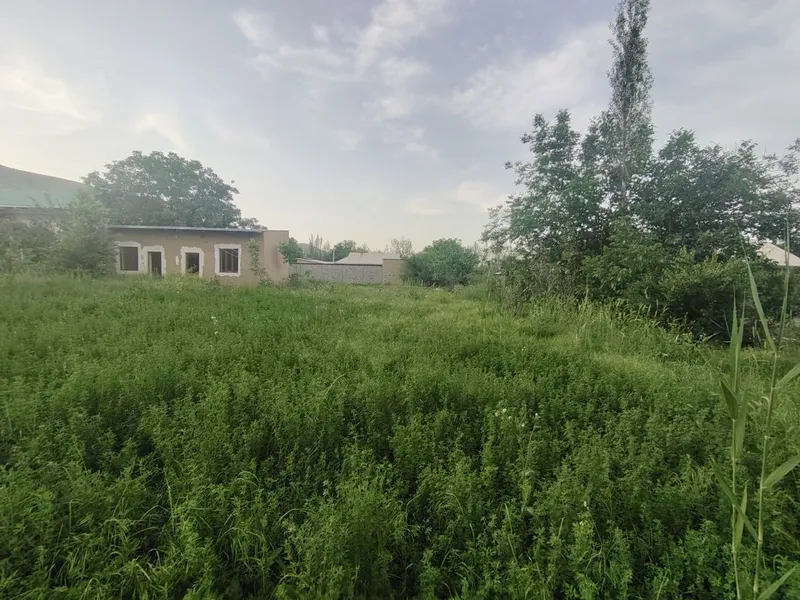 Dam olish maskani, Dacha va yashash uchun tabiat qo'ynidagi uchastka