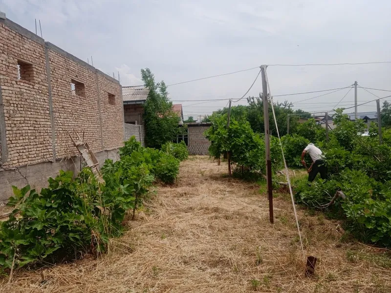 6 sotik bog sotiladi. 20tub anjiri bor suv gaz svetdan Momo yoqkochasi 3