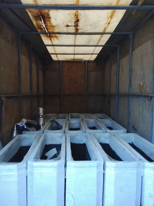 Beton gul tuvak,vazon,kashpo 2 Beton gul tuvak,vazon,kashpo 2