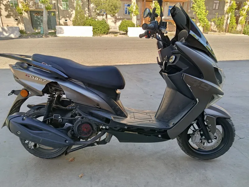 Gst Tiger 150 49cc 2 Gst Tiger 150 49cc 2