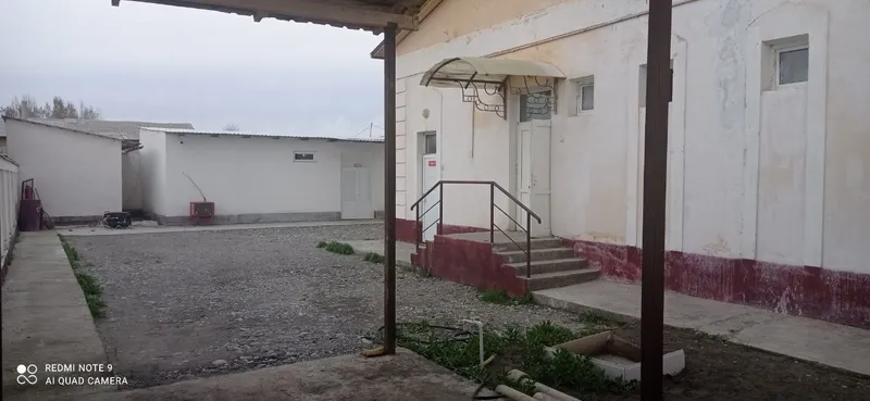 Hovosi toza tinch joydan kotej olaman deganlarga — фото 2
