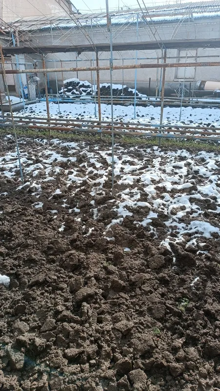 Теплица 2 сотих, — фото 2