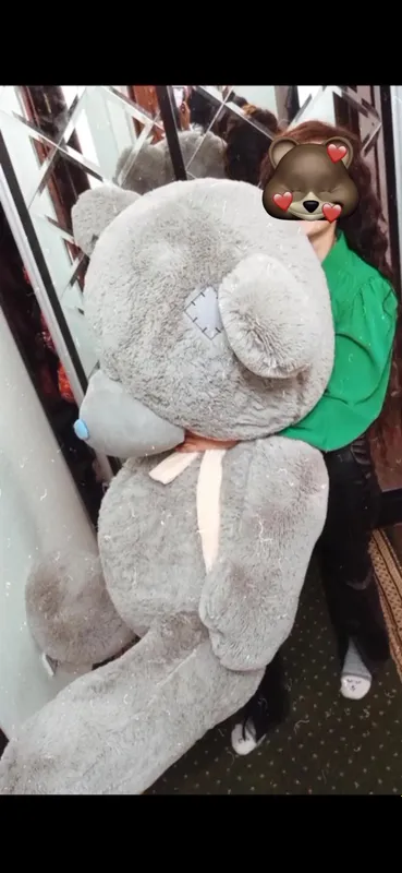 Teddy bear