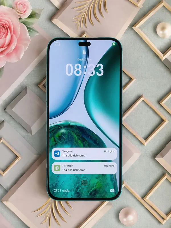 HONOR X8c 1