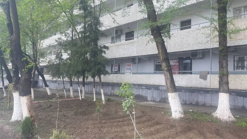 Ijaraga beriladi