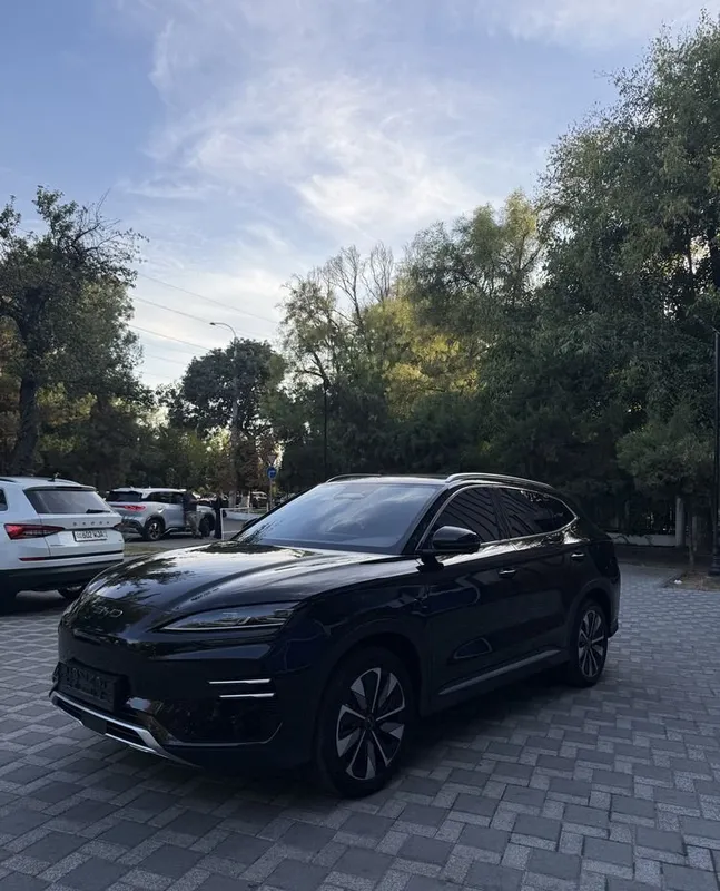 BYD Smart 2025 года 1 BYD Smart 2025 года 1