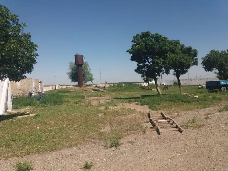 Yer 4.7 gektar molxona kompleks 8 Yer 4.7 gektar molxona kompleks 8