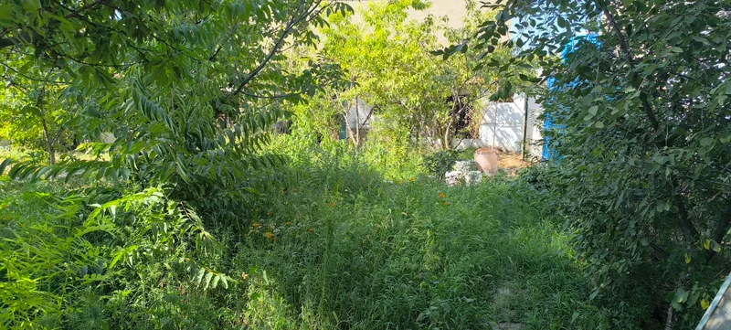 Шахар марказида 2.5 сотихли Ховли Сотилади. 3 Шахар марказида 2.5 сотихли Ховли Сотилади. 3