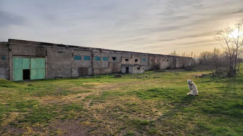 Angrenda Ishlab Chiqarish Sexi va Sanoat Bazasi Ijaraga Beriladi 5