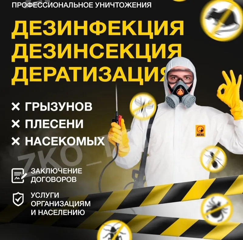 Дезинфекция от вредителей