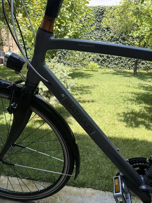 велосипед Batavus 5 велосипед Batavus 5