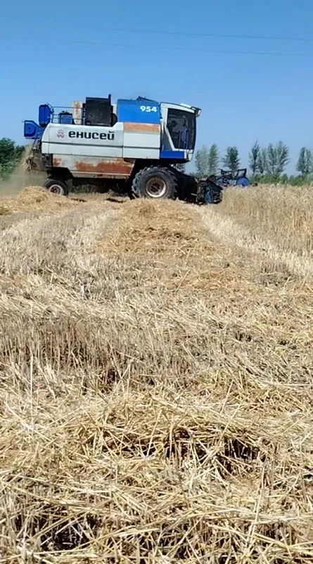Енисей 2009 yil. 100% radnoy. Kombayn ishga tayyor 3 Енисей 2009 yil. 100% radnoy. Kombayn ishga tayyor 3