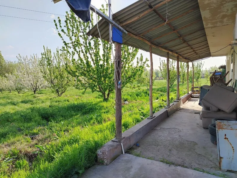 Ташморяда 60 стокли ер — фото 1