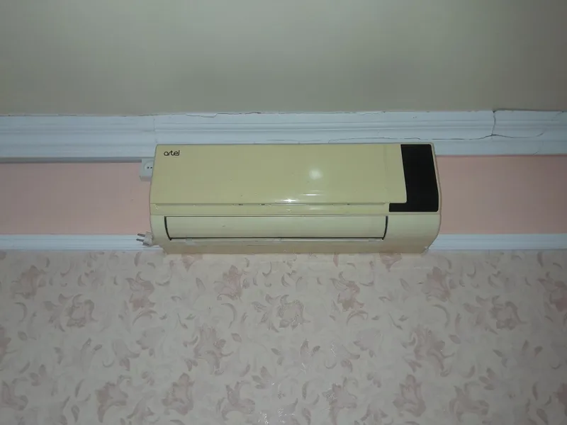 artel