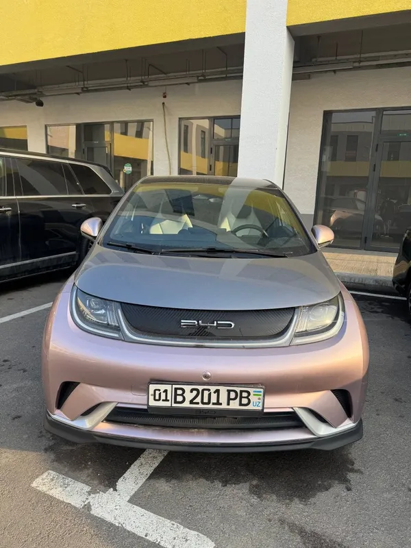 BYD DOLPHIN 2023 yil