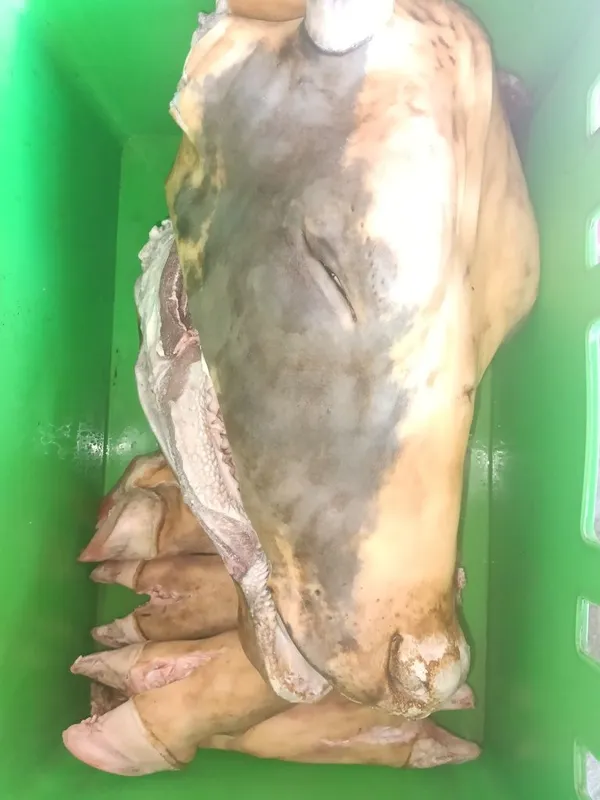 Kalla pocha tozalimiza xallol va pokiza 2