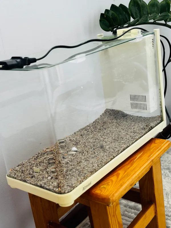 Akvarium SOTILADI! 2