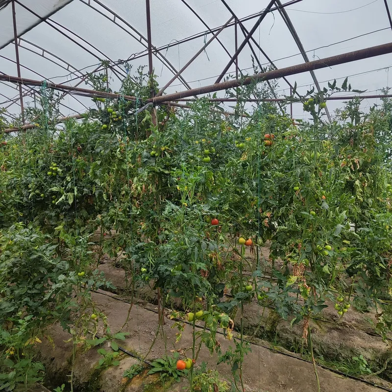 Продажа Катеддж . — фото 4