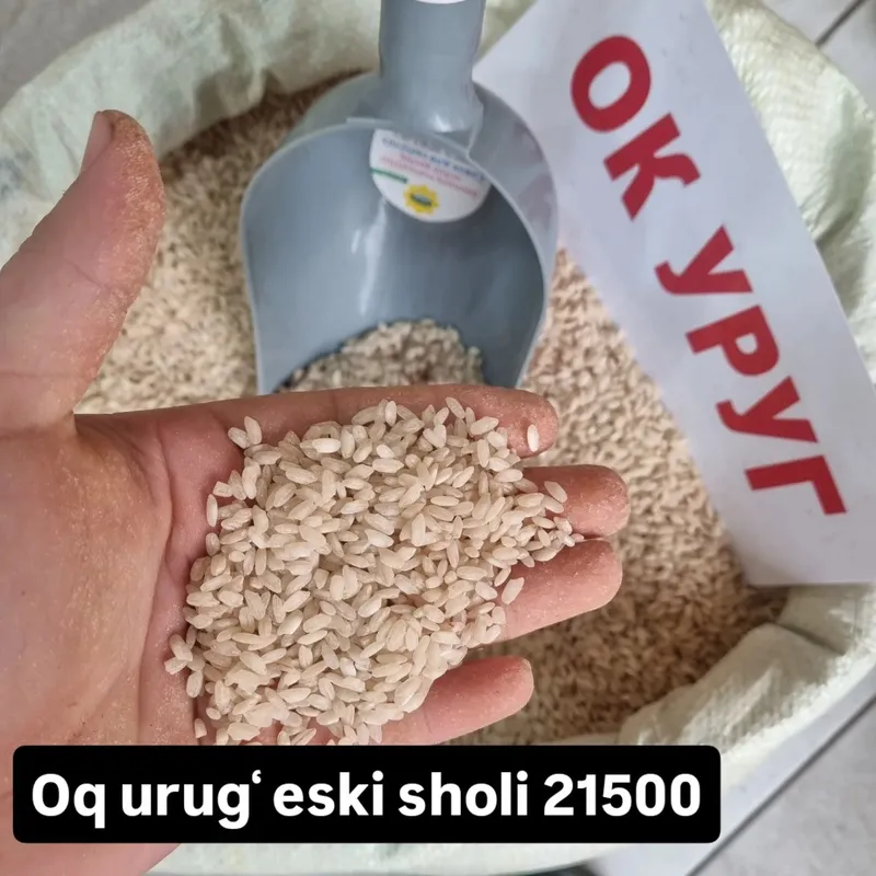 Istalgan hildagi guruch larni topib beramiz — фото 4