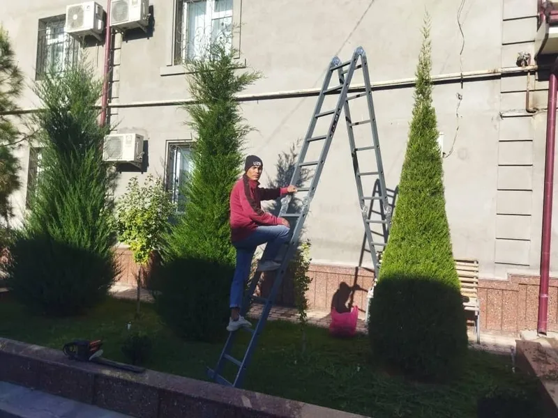 Archa kesish va gazon ikkish 1