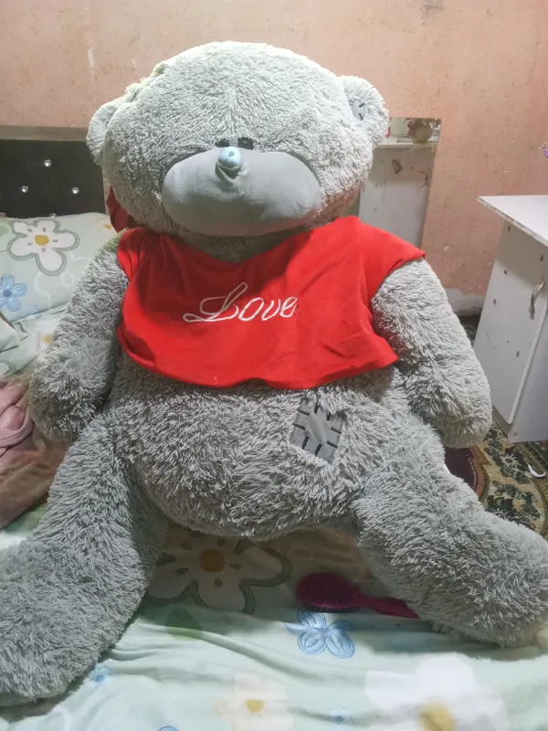 Ayiq narxi 350 xajmi kotta