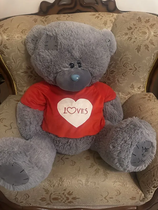 Оригинальный Teddy айик (мягкая игрушка) — фото 1