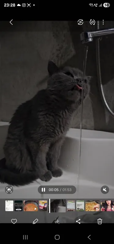 Eshak ichida porno patlar