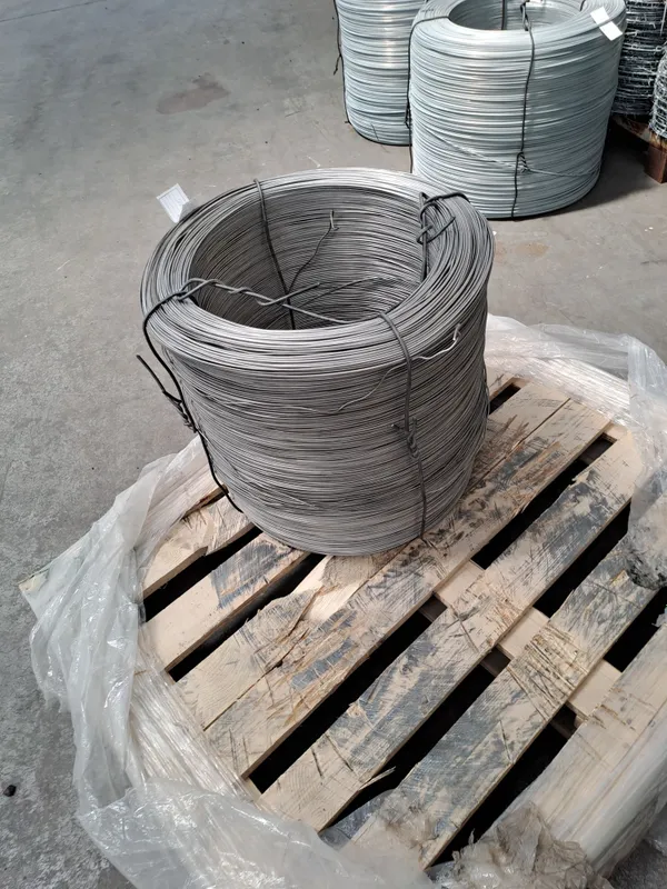 Проволка 3мм Aisi 316Ti