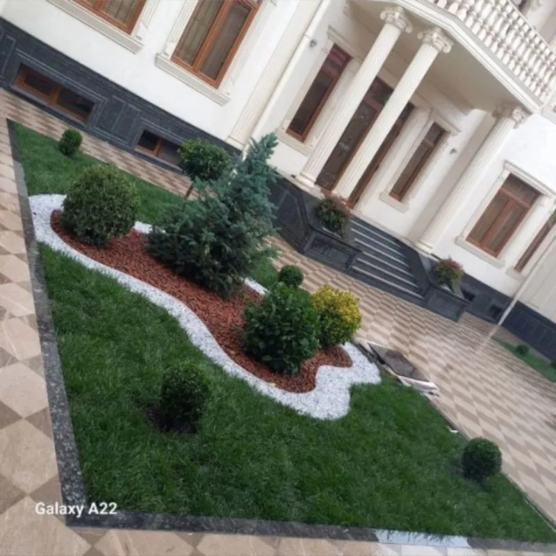 Gazon lanshaf xar xil kóchatlar mavjut — фото 2
