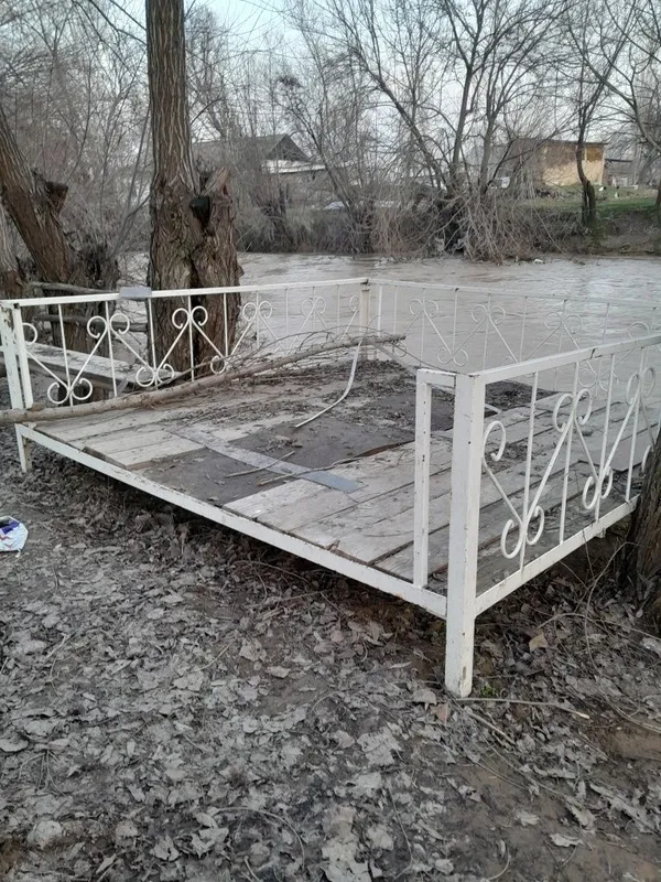 Kravat sotladi2.5 2.5
