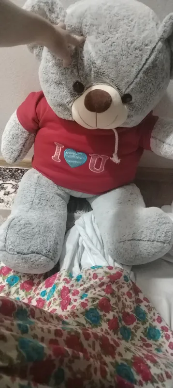 kotta yumshoq teddy ayiq