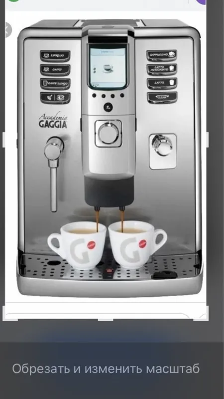 kofe mashina Gaggia Akademiya kofe mashina Gaggia Akademiya