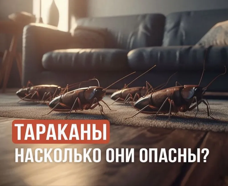 Дезенфекция дизенфек дезинфекция дизинфекция dezinfeksiya klapa klopa — фото 2