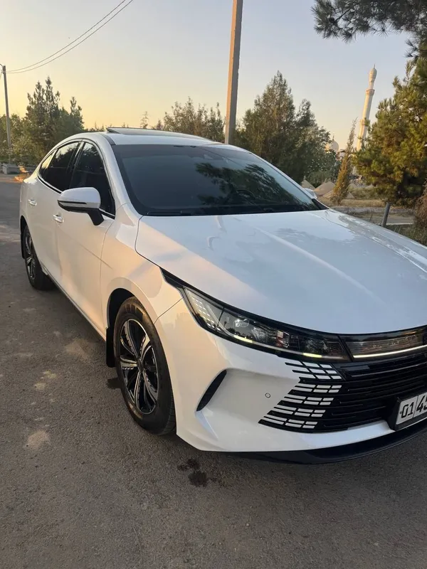 Byd Chazor 2023/24 2 Byd Chazor 2023/24 2