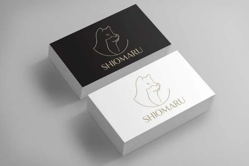 Vizitka — Premium 300gsm qog'oz, tez va sifatli — фото 3