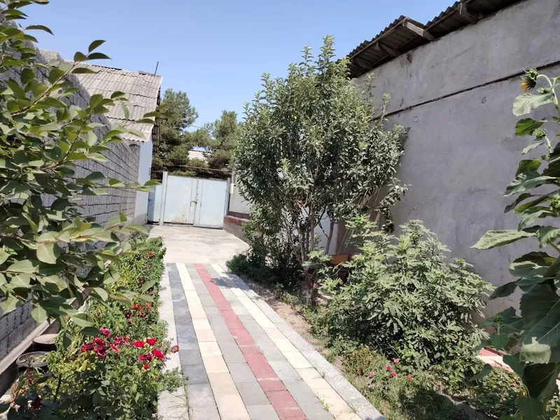 Hovli sotiladi sergeli Honobotda 1 Hovli sotiladi sergeli Honobotda 1