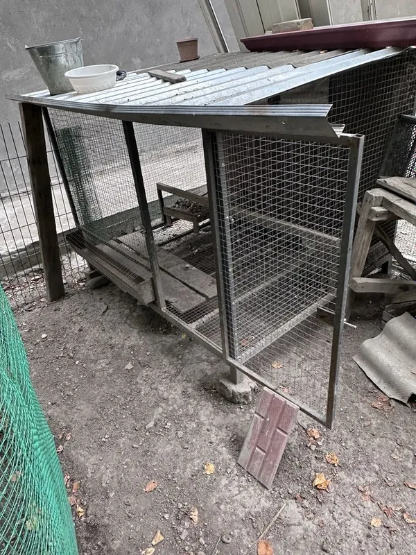 Tovuqlar va maxsus yasalgan katak kalitkasi sotiladi. 4