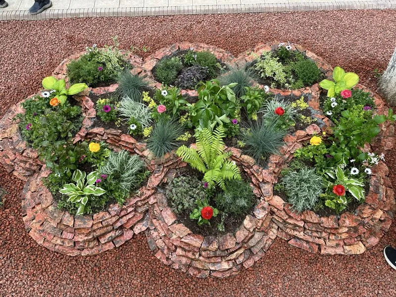 Gazon, Landshaft, Bog'bonchilik - Professional Xizmatlar | Toshkent — фото 1